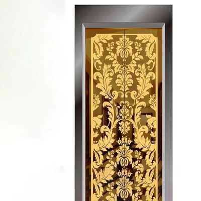 Modelo de acero inoxidable de la puerta del elevador del oro de la chapa de Aisi 304